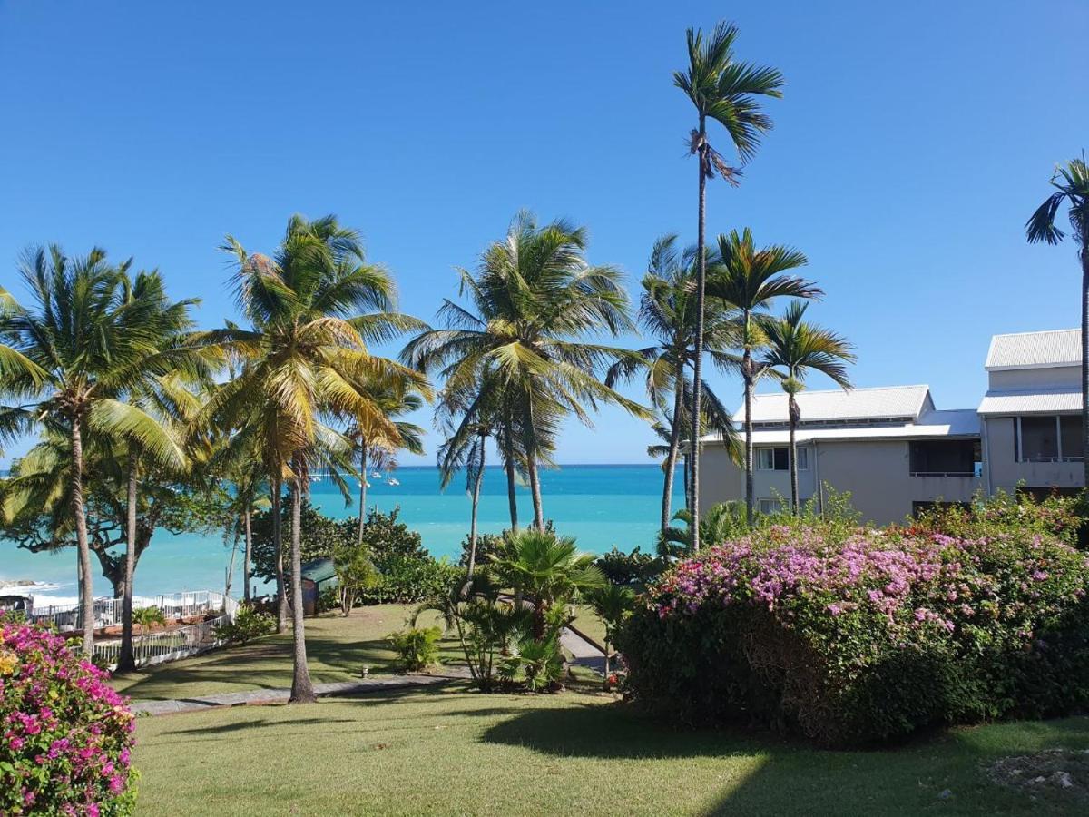 Grand Studio De 41 M², Vue Mer Et Jardin Tropical. Le Gosier  Luaran gambar