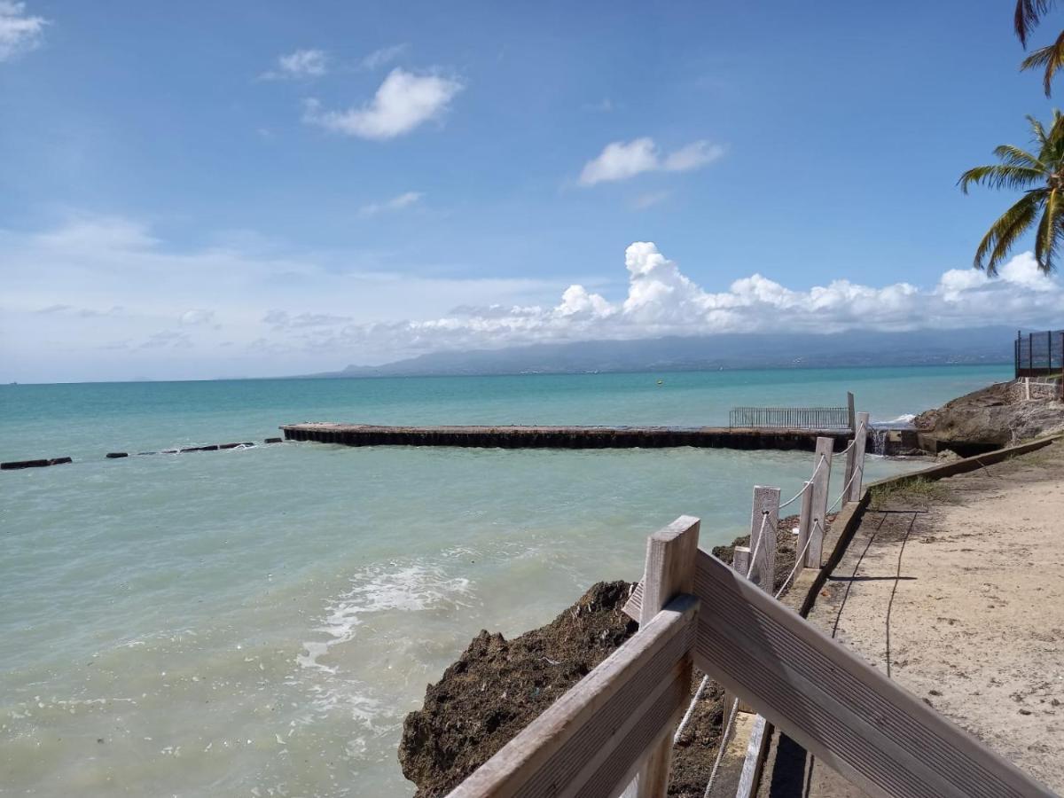 Grand Studio De 41 M², Vue Mer Et Jardin Tropical. Le Gosier  Luaran gambar